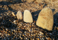 /album/lost-dream-waltz/a2014-09-07-23-10-30-png/